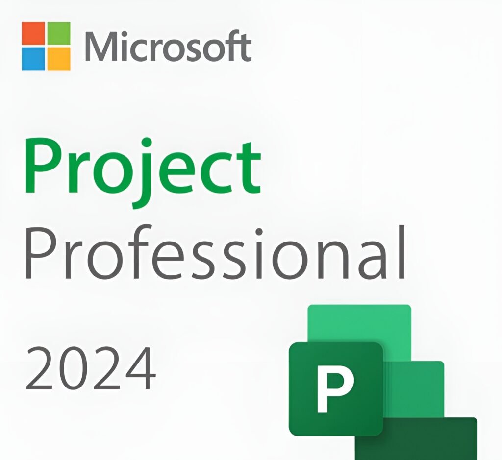Microsoft Project 2024 Professional
