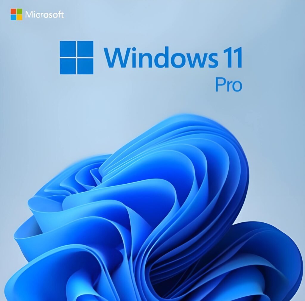 Microsoft Windows 11 Pro