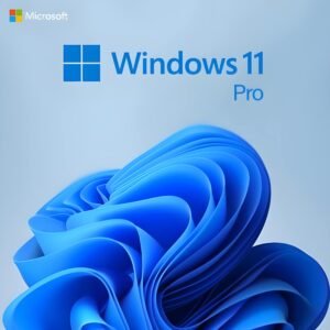 Microsoft Windows 11 Pro
